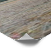 POSTER MIDSOMMAR MAY REINE DANI ARDOR FLORENCE PUGH (Coin)