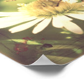 Poster Miel Bee (Coin)