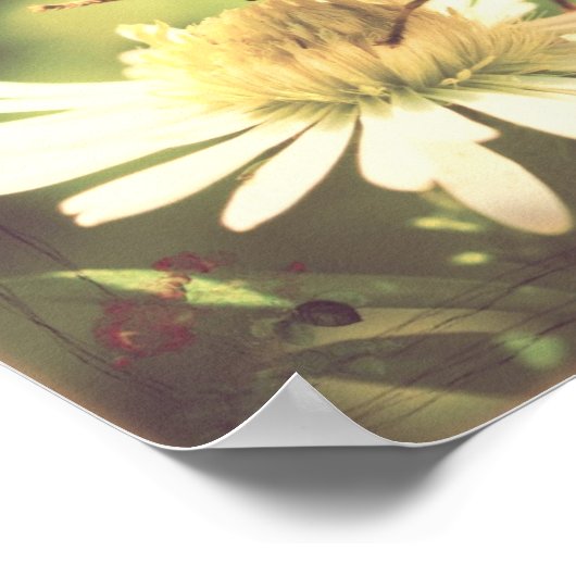 Poster Miel Bee (Coin)