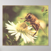 Poster Miel Bee (Devant)