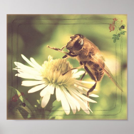 Poster Miel Bee (Devant)