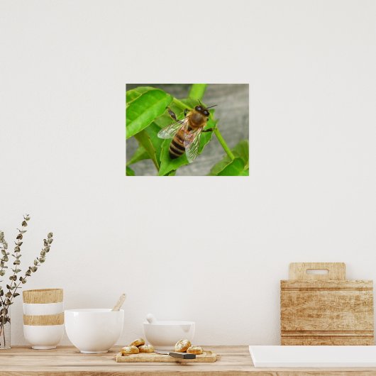 Poster Miel Bee (Cuisine)