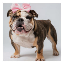 Poster mignon Chien Bulldog Mur Art