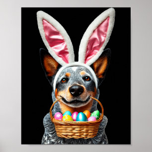 Poster Mignon chien de berger australien aux oreilles de