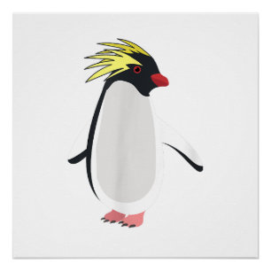 Poster Mignon Manchot Rockhopper Drôle Animal Antarctique