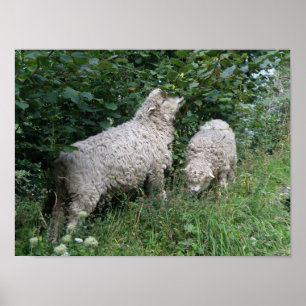 Poster mignon Manger Feuille