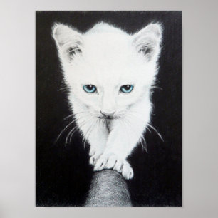 Poster Mignon petit chaton blanc Dessin d'animal Art pour