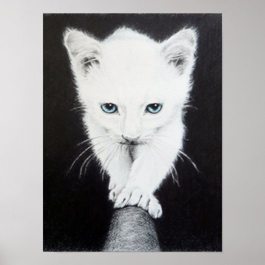 Poster Mignon petit chaton blanc Dessin d'animal Art pour (Devant)