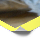 Poster Mignon riant yorkie chiot chien yorkshire terrier (Coin)