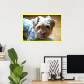 Poster Mignon riant yorkie chiot chien yorkshire terrier (Bureau à domicile)