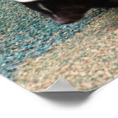 Poster mignon Skunk (Coin)