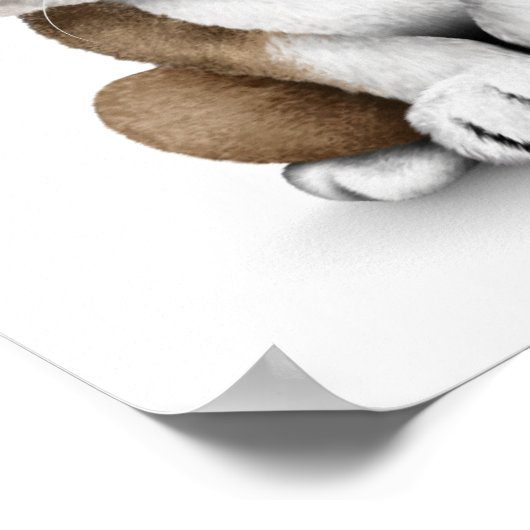 Poster Mignonne Anglais Chien Chien Chien Portant des lun (Coin)