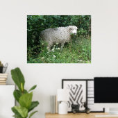 Poster Mignonne Blanc Fluffy Sheep Manger Imprimer (Bureau à domicile)