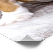 Poster Mignonne chiot Bulldog assis (Coin)