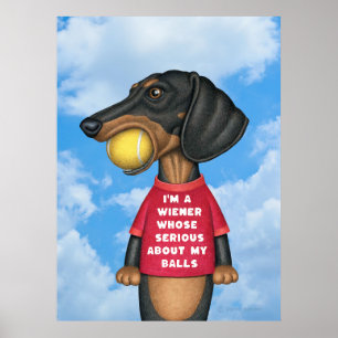 Poster Mignonne Dachshund avec balle de tennis dans la bo