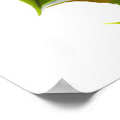 Poster Mignonne et adorable chouette bébé kawaii (Coin)