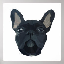 Mignonne face de bulldog frenchie