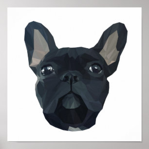 Poster Mignonne face de bulldog frenchie