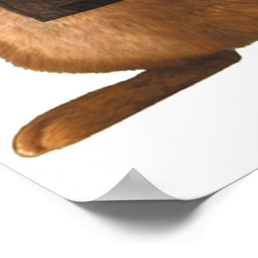 Poster Mignonne lapin peter pete (Coin)