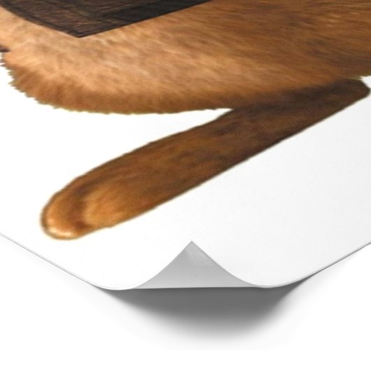 Poster Mignonne lapin peter pete (Coin)