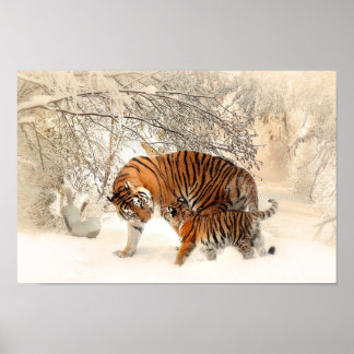 Poster Mignonne Mère Tigre avec bébé en neige