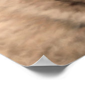 Poster Mignonne Mouton Avec Lunettes (Coin)