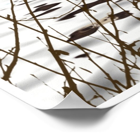 Poster Mignonne Otter portant un chapeau de Père Noël (Coin)