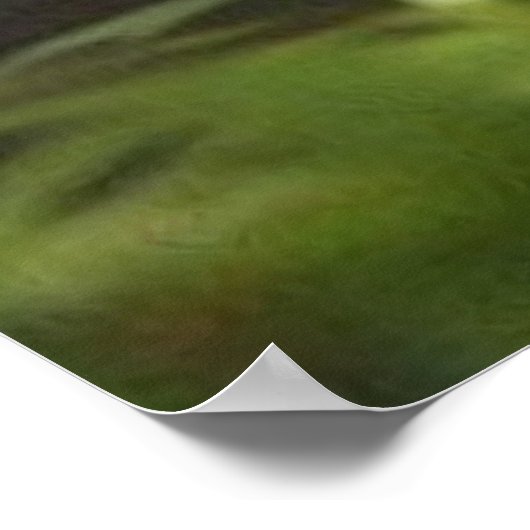 Poster Mignonne Petite fille chien blanc dans la forêt mo (Coin)