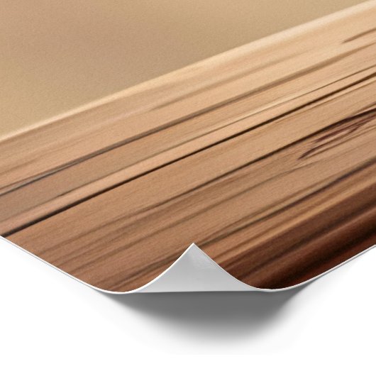 Poster Mignonne singe en costume de cowboy (Coin)