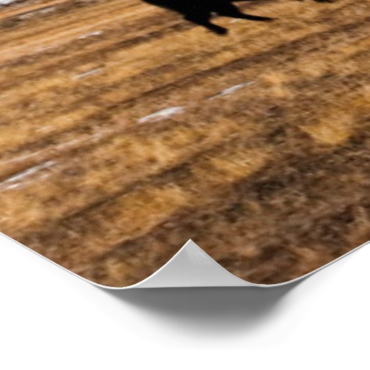 Poster Migration des bisons (Coin)