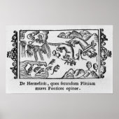 Poster Migration des lemmings (Devant)