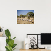Poster Migrer la zèbre, Tanzanie (Bureau à domicile)