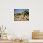 Poster Migrer la zèbre, Tanzanie (Cuisine)