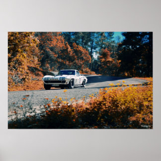 Poster Mil cumbres dowhill (La Mexican Race)