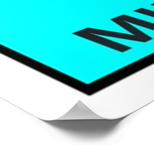 Poster Mil Mascaras (Coin)