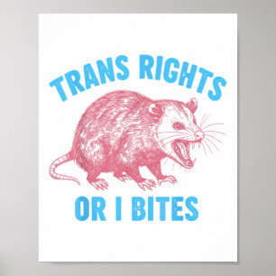 Poster Militant Lgbtq Transgenre Égalité Trans Droits O