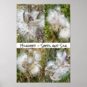 Poster Milkweed | Naturel (Devant)