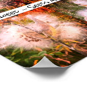 Poster Milkweed | Sangria (Coin)