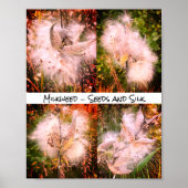 Poster Milkweed | Sangria (Devant)