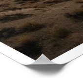 Poster Milky Way Over Desert Mountains Night Sky Art (Coin)