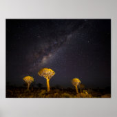 Poster Milky Way Quiver Tree | Keetmanshoop Namibia (Devant)