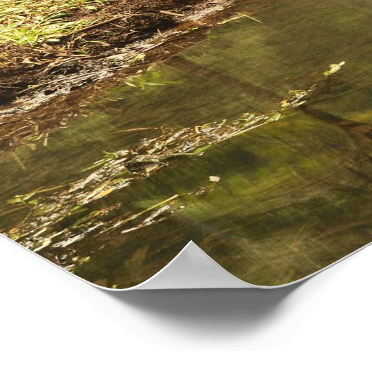 Poster Millaa Millaa Falls, Atherton Tableland (Coin)