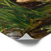 Poster Millais - Ophelia (Coin)