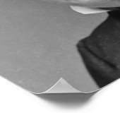 Poster Millard Fillmore (Coin)