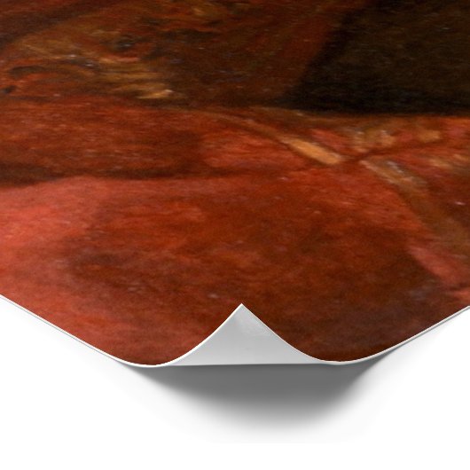 Poster MILLARD FILLMORE par George Peter Alexander Healy (Coin)