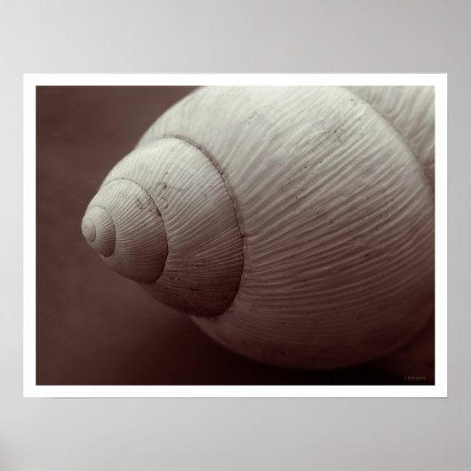 Poster mille (Devant)