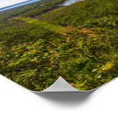 Poster Miller Hill Loout, Dunes d'ours couché NL (Coin)