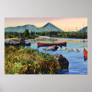 Poster Millinocket Maine Little Nesowadnehunk Lake Lily P