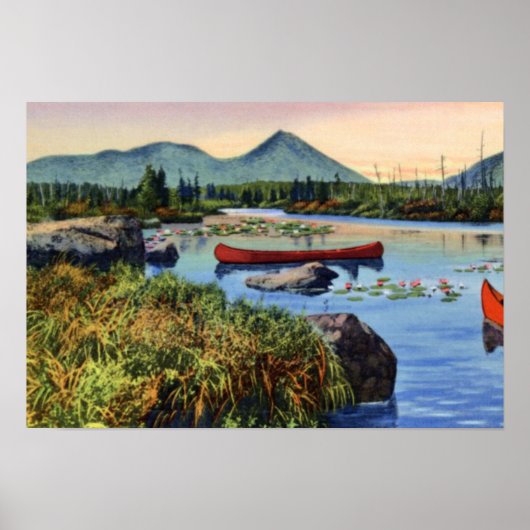 Poster Millinocket Maine Little Nesowadnehunk Lake Lily P (Devant)