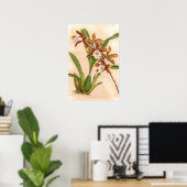Poster Miltonia candida Orchidée (Bureau à domicile)